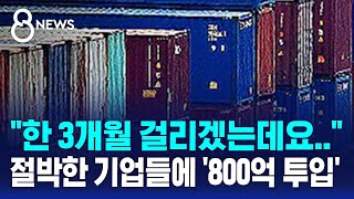 한 3개월 걸리겠는데요.. 정부, 절박한 기업들에 '800억 투입' / SBS 8뉴스