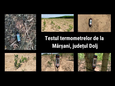 Nisipuri ori pădure? Testul termometrelor de la Mârșani (by Mihai Enescu)