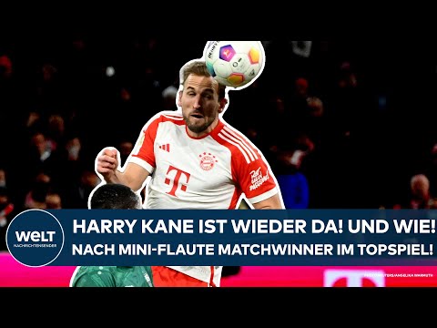 BUNDESLIGA: Harry Kane ist wieder da! Und wie! Nach Mini-Krise der Matchwinner im Topspiel gegen VfB