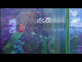 Finding Nemo - Nemo Try To Stop Water Filter - Algunas LPI Finding Nemo - Nemo Try To Stop Water Filter