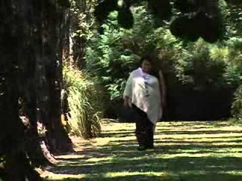 NANCY SAN MARTIN SON MI CHAWAY   ( Letra )