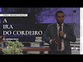 A IRA DO CORDEIRO | Dr. Rodrigo Silva | APOCALIPSE | Igreja Unasp SP | 8...