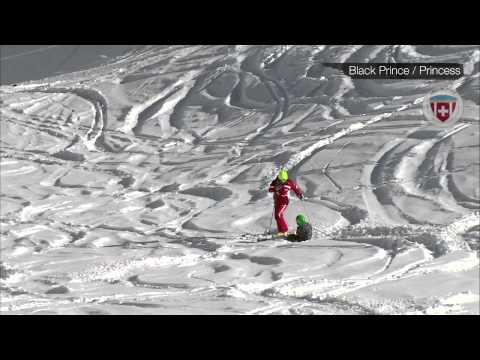 Swiss Ski School - Swiss Snow League - SKI -  Black Prince / Princess