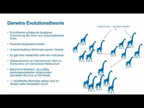 Evolution - Entwicklung der Evolutionstheorie: Evolutionstheorie nach Lamarck und  nach Darwin