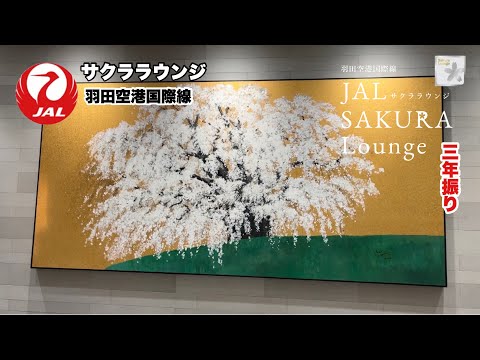 [JAL Sakura Lounge (Vuelos internacionales del aeropuerto de Haneda/Completamente renovado)] Uso de la sala VIP internacional por primera vez en tres años (subtítulos en chino e inglés)