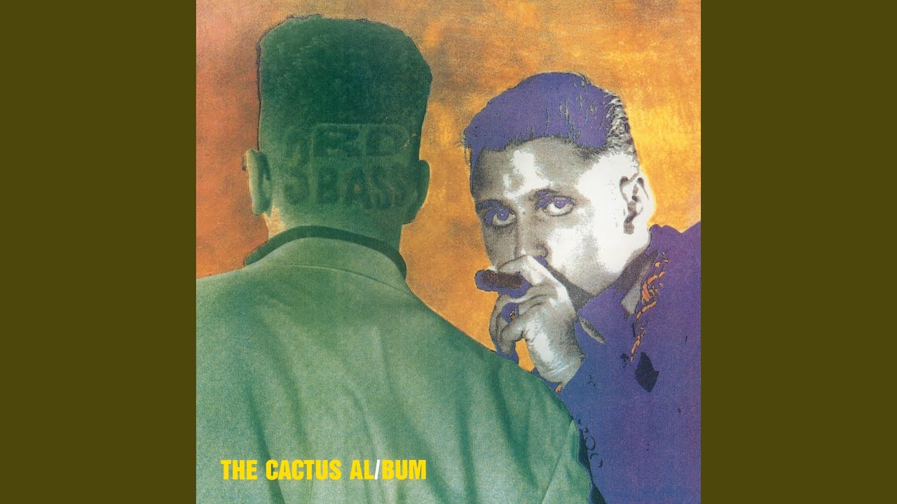 3rd Bass - Wordz of Wisdom