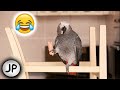 https://www.youtube.com/watch?v=UwvxsjwBsF0