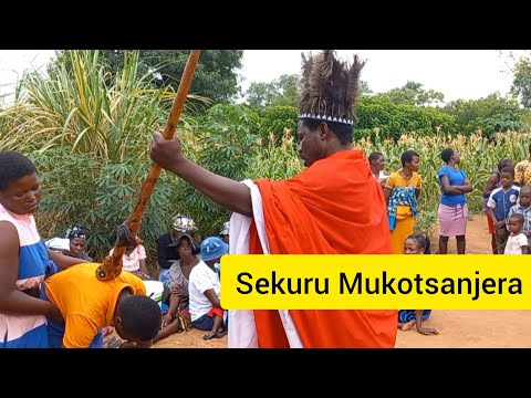 Sekuru Mukotsanjera Wovhura Hombe Shumba yengozi