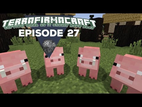 TerrafirmaCraft |S2E27| - Pig Pen