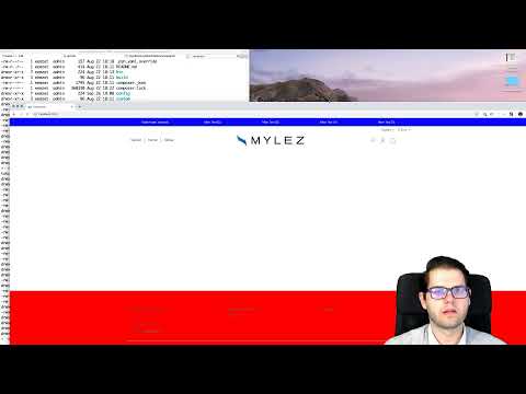 Shopware 6 Theme entwickeln - Livestream #10 - 1