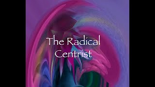 Ira Shapiro Ep 66 - Is the Fever Breaking? What lies ahead for Representative Democracy?
