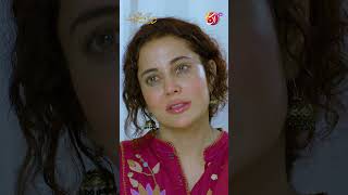 Ibrahim Aap Bohat Achay Hain | Do Aatisha Mohabbat | Aan TV