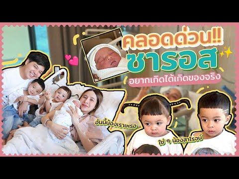 เกือบคลอดบนทางด่วน! ซารอส อยากเกิดก็ได้เกิดของจริง!! | SolMoneSaros EP.1