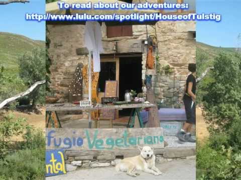 Magic of the Camino ONE