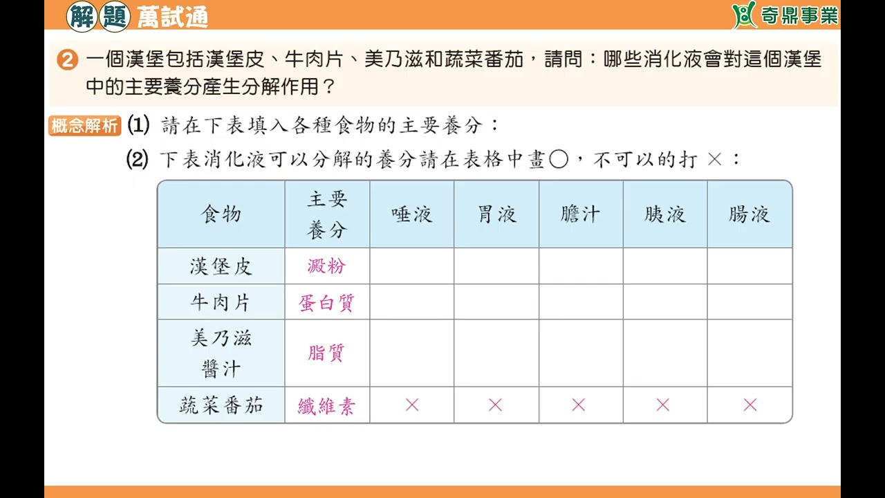 單元2：漢堡在人體的消化作用