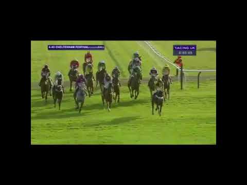 2014 Terry Biddlecombe National Hunt Chase - Cheltenham Festival