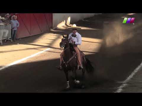 DLM277 010220 Bloque 2   1 I Caladero Amateur Triple Corona Javier Paredes con Chispa