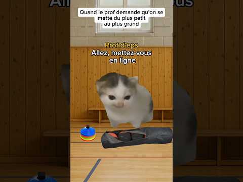 Quand le prof demande qu'on se mette du plus petit au plus grand #humour #catmemes #drôle