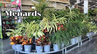 Menards Plant Tour:#plants #houseplants #indoorplants 