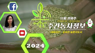 [ 주간농사정보 ] 11월 셋째주 (2024. 11. 18. ~ 11. 24.)