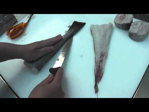 download lagu mp3 mp4 Fresh Hake Fish, download lagu Fresh Hake Fish gratis, unduh video klip Fresh Hake Fish