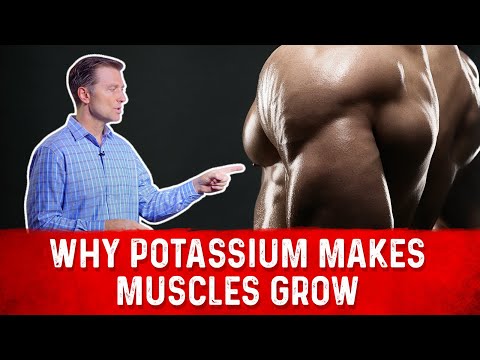 An APPLE a Day Will NOT Let Your Weight Go Away – Dr Berg