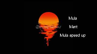 mula speed up