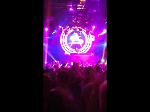 Teenage crime : Steve Angello NYE