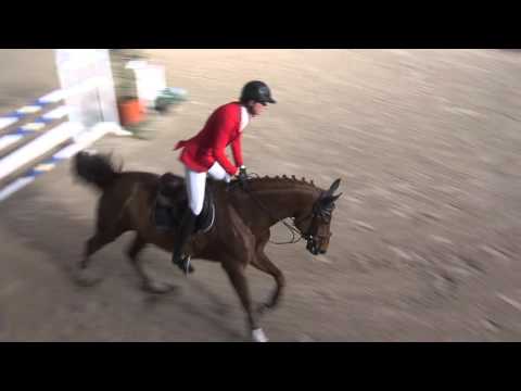 Siella @ CSI 2* San Giovanni mit Marcel Wolf