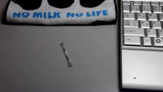 NO MILK NO LIFE Super Cool Music