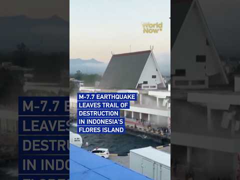 M-7.7 earthquake leaves trail of destruction in Indonesia's Flores Island #worldnow