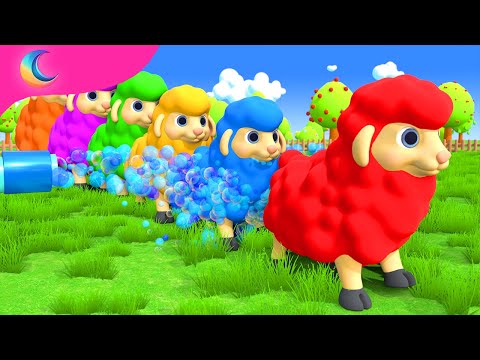 Learn colors with Baa Baa Black Sheep | BluLoo Nursery Rhymes & Kids Songs