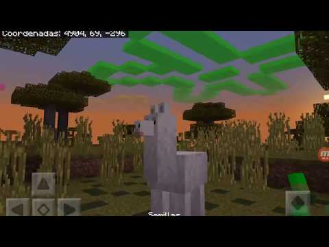 TIERRA DE SICARIOS 8#- LA ESCAPADA DE LA CUEVA