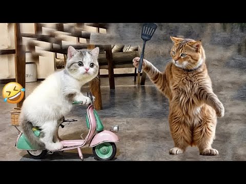 You Laugh You Lose😹Funniest Dogs and Cats 2024😻🐶