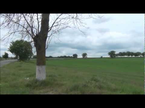 CALASARI OSTROV poi verso CONSTANTA