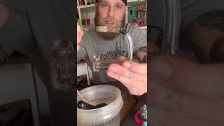 Dab Sponge slurper cleaner