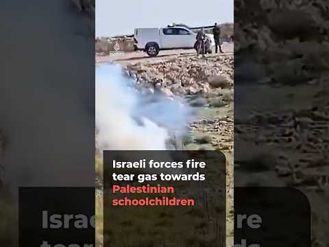 Israeli forces fire tear gas near Palestinian schoolchildren | AJ #shorts