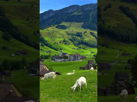 📍 Schwende, Switzerland 🇨🇭Follow for daily Swiss Content 🇨🇭