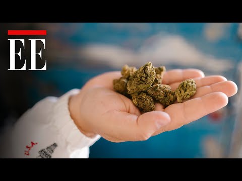 Así quiere el Minsalud que la flor de cannabis llegue a las farmacias | El Espectador