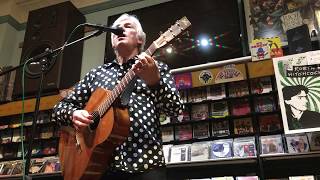 Robyn Hitchcock - Madonna Of The Wasps - Bordentown NJ, April 4th 2018