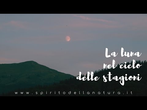 L'energia delle 4 fasi della luna nelle stagioni