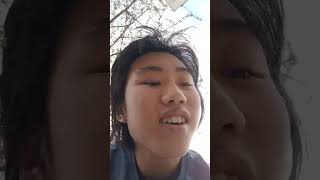 イギリスの桜が不思議