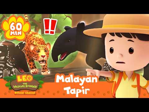 Cartoon safari boy points at a Malayan tapir and jungle animals in a kids' video thumbnail, with a 60 MIN label and leopard nearby.