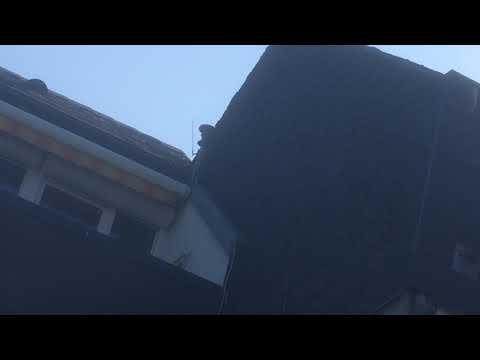 Sirenenprobe Kirchzarten S0 Sirene 2x Entwarnung (Freiburg)