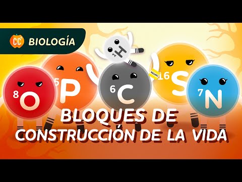 ¿De qué está hecha la vida? El carbono y las moléculas biológicas: Crash Course Biología #20
