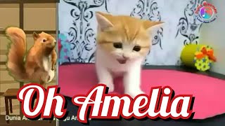 Download lagu Lagu Anak-anak | Amelia | Video Klip Lagu Amelia |  @Video_Imajinasi-2025 mp3