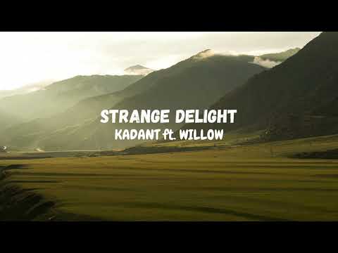 Strange Delight - Kadant feat. Willow