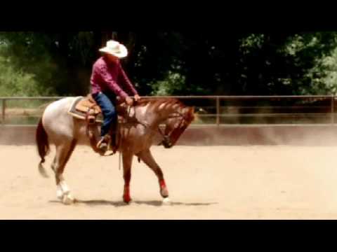 Les Vogt Clinic - Boon Stop and Back