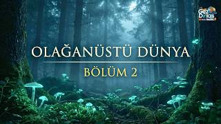 Olağanüstü Dünya :Yeryüzünün Görkemli Şaheserleri