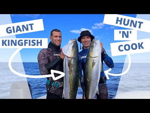 GIANT KING FISH - [CATCH N COOK]